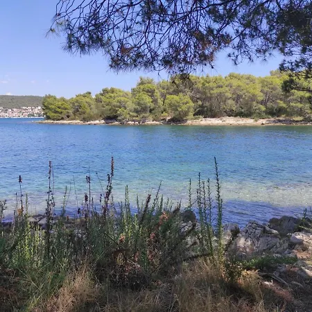Caroline Trogir